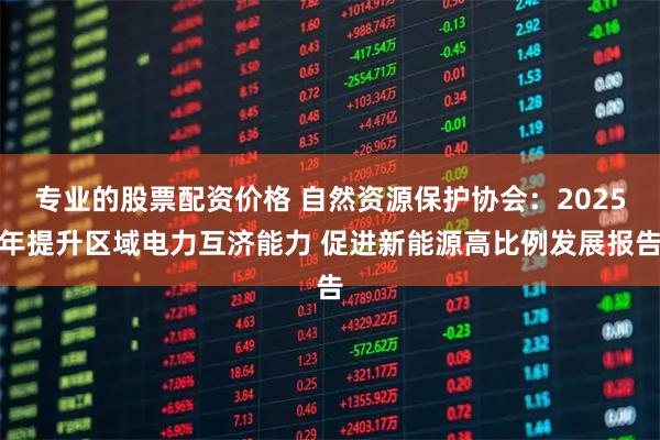 专业的股票配资价格 自然资源保护协会：2025年提升区域电力互济能力 促进新能源高比例发展报告